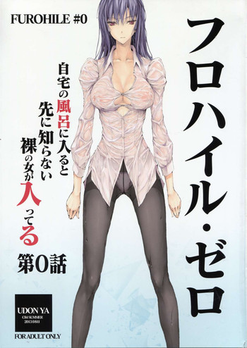 フロハイル·ゼロの表紙画像