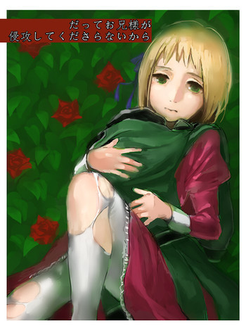 だってお兄様が侵攻してくださらないからの表紙画像