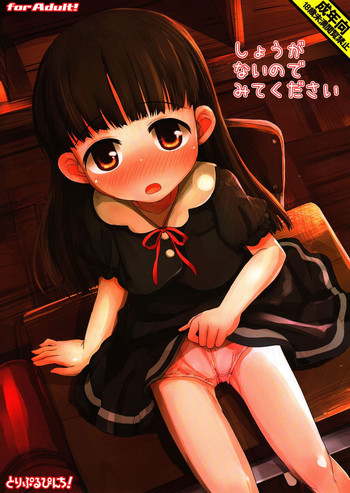 しょうがないのでみてくださいの表紙画像