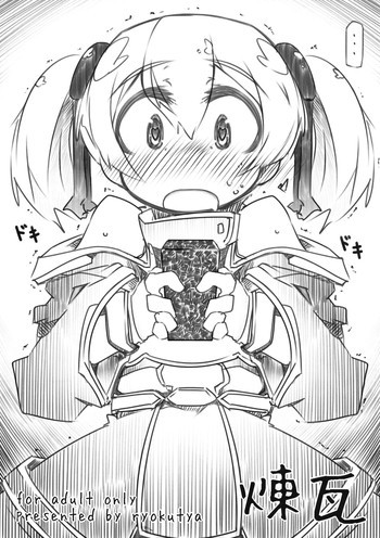煉瓦の表紙画像