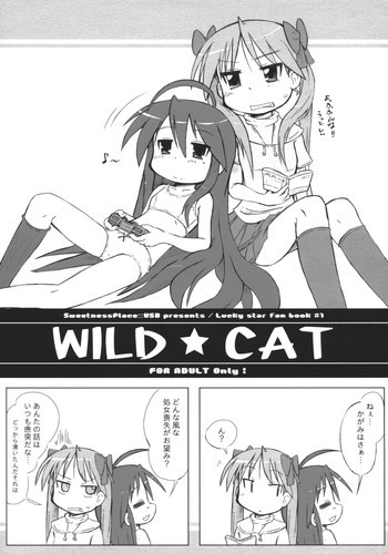 WILD CATの表紙画像