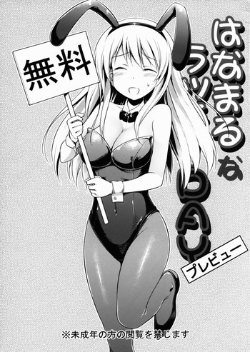 はなまるなラッキーDAY プレビューの表紙画像