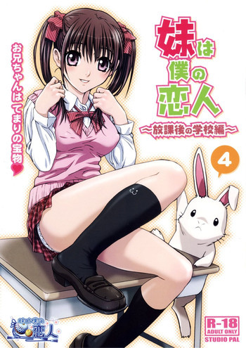 妹は僕の恋人～放課後の学校編～の表紙画像