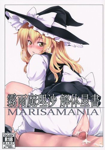 霧雨魔理沙 解体星書の表紙画像