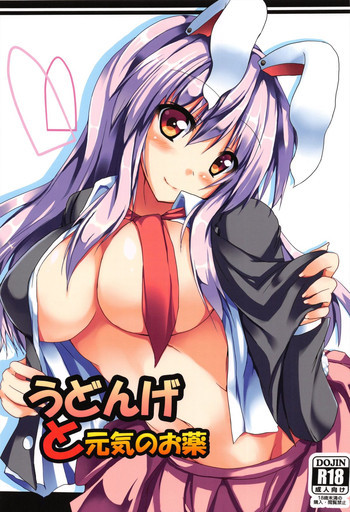 うどんげと元気のお薬の表紙画像