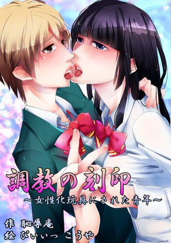 調教の刻印～女性化玩具にされた青年～の表紙画像
