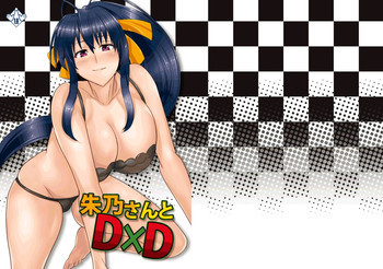 朱乃さんとD×Dの表紙画像