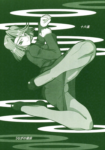 十六進の表紙画像