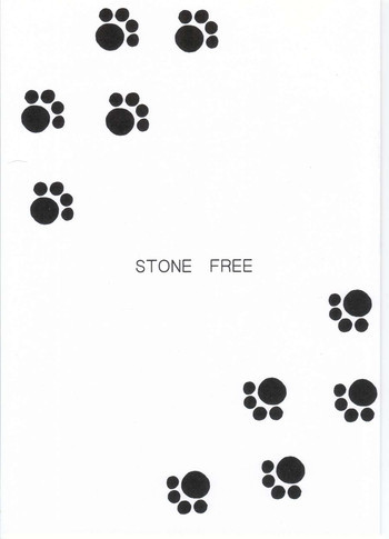 STONE FREEの表紙画像