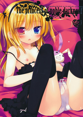 The princess of noble darknessの表紙画像