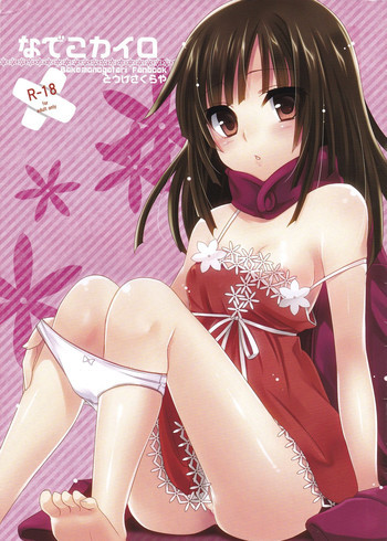 なでこカイロの表紙画像