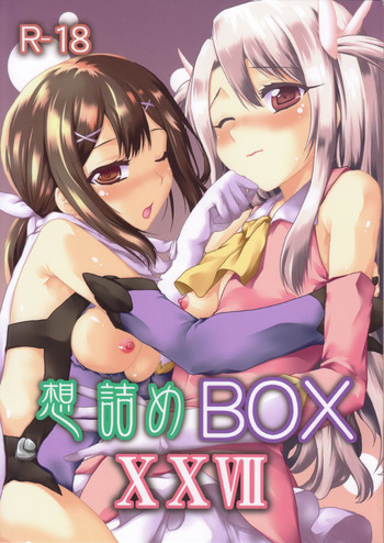 想詰めBOX27の表紙画像