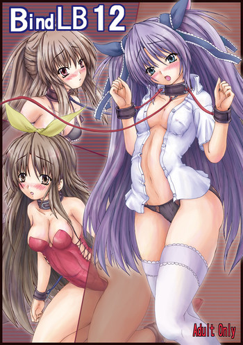 Bind LB12の表紙画像