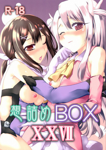 想詰めBOX XXVIIの表紙画像
