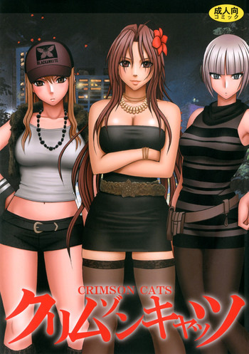 クリムゾンキャッツの表紙画像