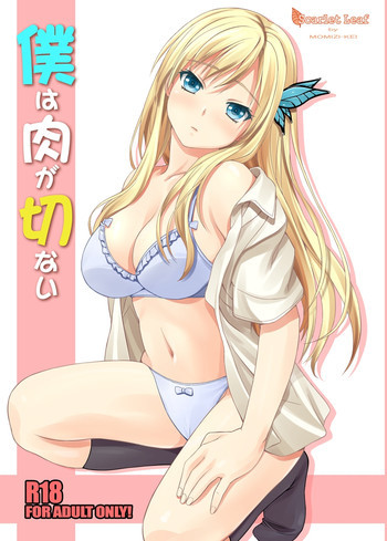 僕は肉が切ないの表紙画像