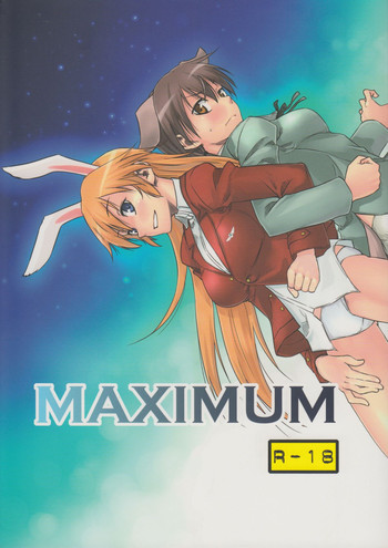 MAXIMUMの表紙画像