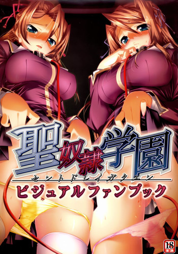 聖奴隷学園ビジュアルファンブックの表紙画像