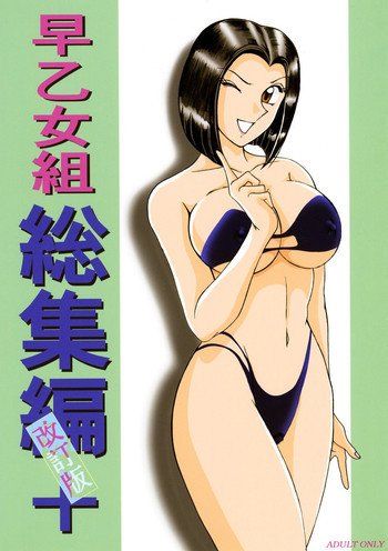 早乙女組総集編＋改訂版の表紙画像