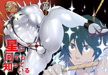 星は何でも知っているの表紙画像