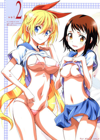 ニセニ○コイ2の表紙画像