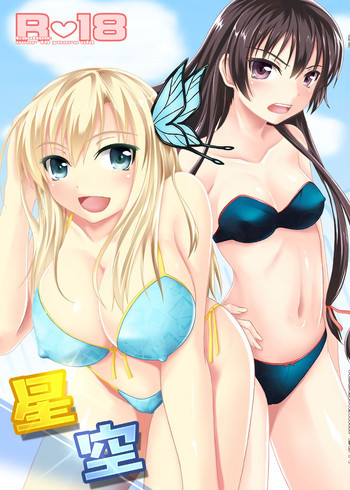 星空の表紙画像