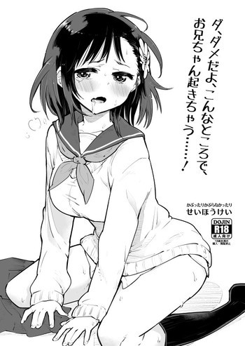 ダ、ダメだよこんなところで、お兄ちゃんが起きちゃう……！の表紙画像