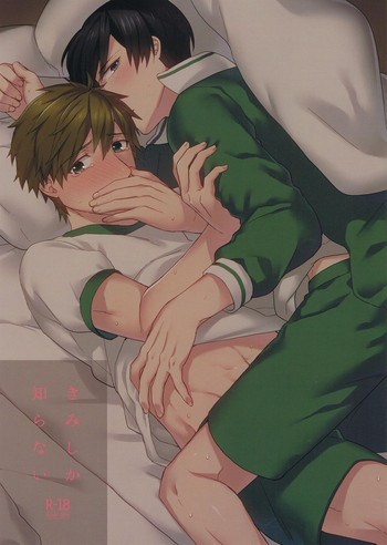 きみしか知らないの表紙画像