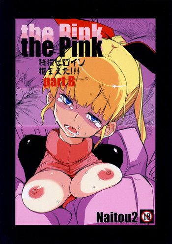 the Pink 特撮ヒロイン掴まえた!!! part Bの表紙画像