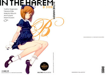 IN THE HAREM B SIDEの表紙画像