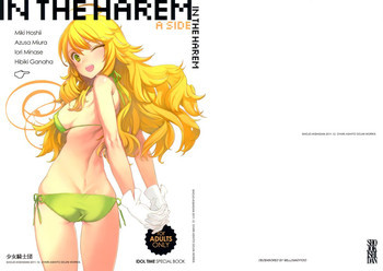 IN THE HAREM A SIDEの表紙画像