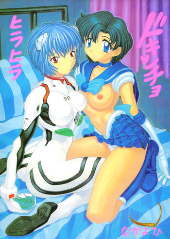 ヒラヒラドキンチョの表紙画像