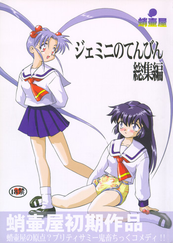 ジェミニのてんびん総集編の表紙画像