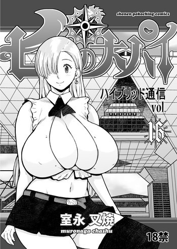 ハイブリッド通信vol.16の表紙画像