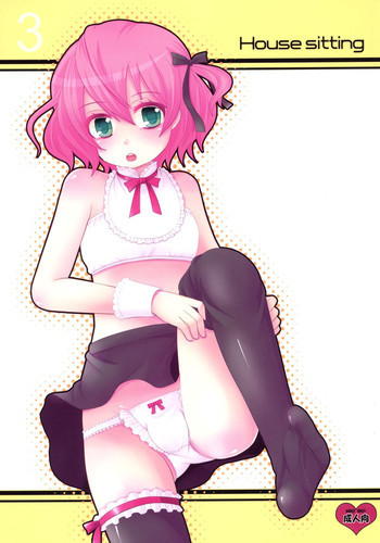 House sittingの表紙画像