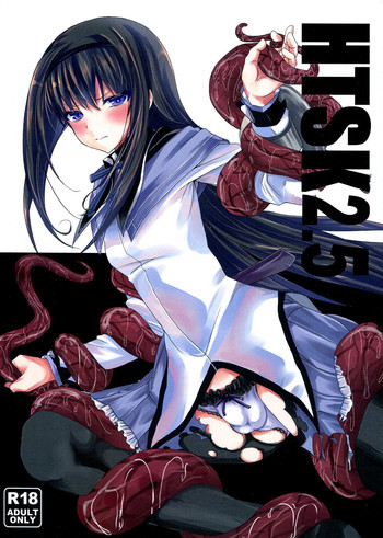 HTSK2.5の表紙画像