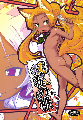 双狐の帳其の弐の表紙画像