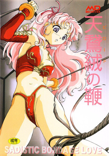 天鵞絨の鞭の表紙画像