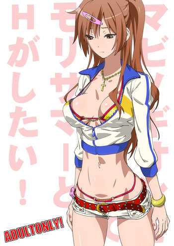 マビノギオンを手に入れたのでモリサマーとHがしたい!の表紙画像