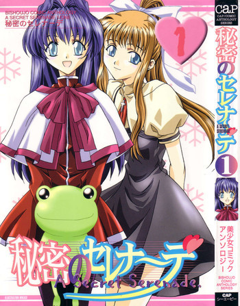 秘密のセレナーデ1の表紙画像