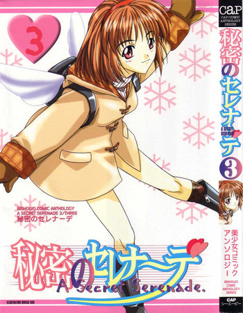 秘密のセレナーデ3の表紙画像