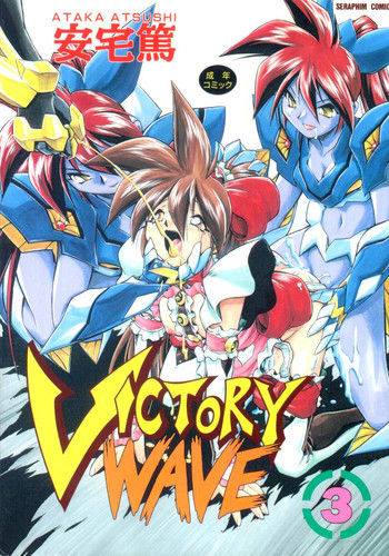 VICTORY WAVE 3の表紙画像