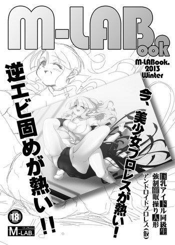 M-LABook.2013Winter DL版の表紙画像