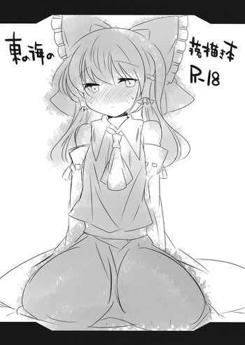 東の海の落描き本の表紙画像