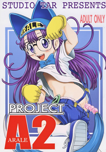 PROJECT ARALE 2の表紙画像