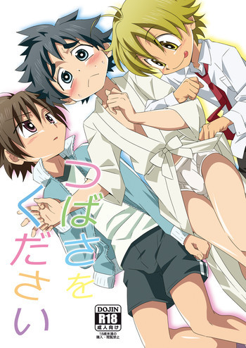 つばさをくださいの表紙画像