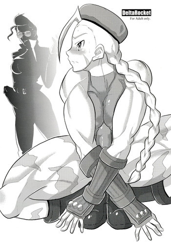 デルタロケットの表紙画像