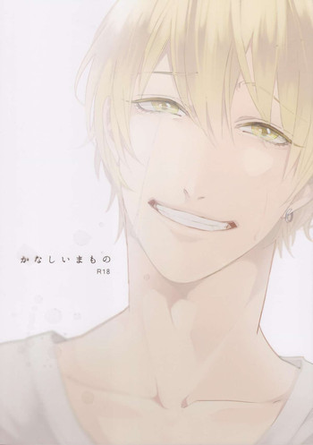 かなしいまものの表紙画像