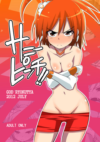 サニーピンチ!!の表紙画像