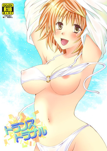 トランストラブルの表紙画像